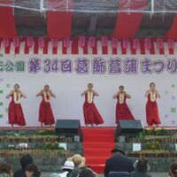 画像1678