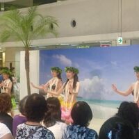 画像1705