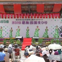 画像1754