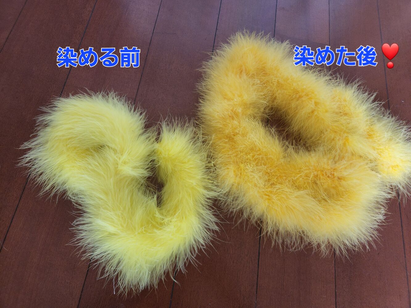 画像2546